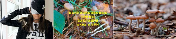 скорость Алексеевка
